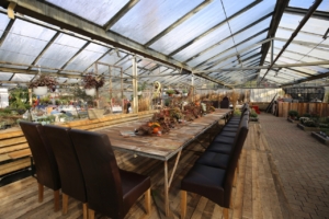 Ein Tisch im Gewächshaus